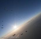 nkp-australian-record-2010-3274